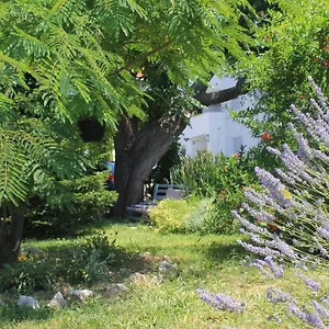 https://happy-island-rab-apartments.primorje-gorskikotar.com